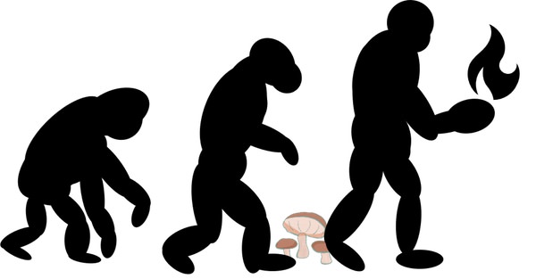 Katso lähemmin Stoned Ape Hypothesis
